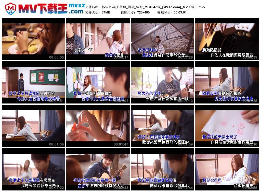 林佳音-是天菜啊_国语_流行_MB404797